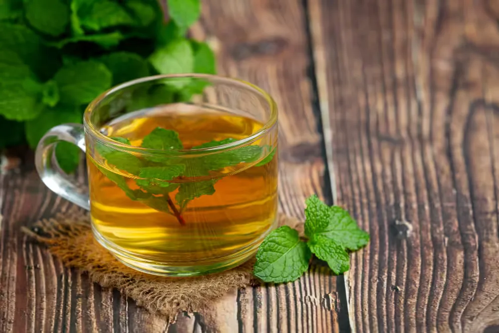 با این 10 دمنوش برای لاغری، وزن کم کنید و سلامت بمانید 4 شربت سکنجبین با برگ نعناع