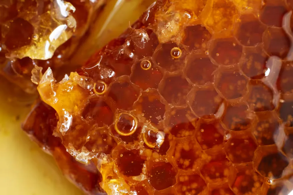 خواص شگفت انگیز عسل طبیعی 1 عسل با موم honey